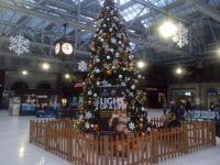 The tree on the Glasgow Central concourse.<br><br>[John Yellowlees 26/11/2015]