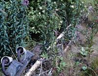 Felled lattice signal post in the weeds at Bathgate Upper in 1988. This was behind the westbound platform.<br><br>[Ewan Crawford //1988]
