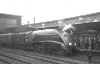 The RCTS (West Riding Branch) 'Three Summit Rail Tour' stands at Carlisle platform 4 on 30 June 1963 on its way home to Leeds City. A4 60023 <I>Golden Eagle</I> has taken over from classmate 60004 <I>William Whitelaw</I>, which had brought the special south from Auchinleck. The train returned to Leeds via the Low Gill - Sedbergh - Clapham route.<br><br>[K A Gray 30/06/1963]