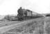 N2 0-6-2T 69564 with a train from Bridgeton Central approaching Milngavie in July 1957. [Ref query 34641] The seldom used track to the right is the Burnbrae Branch.<br><br>[G H Robin collection by courtesy of the Mitchell Library, Glasgow 02/07/1957]