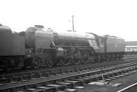 The shed yard at Kingmoor on 7 March 1964, with A2 Pacific no 60524 <I>Herringbone</I> centre stage.<br><br>[K A Gray 07/03/1964]