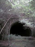In the gloom of tree growth by the northern portal of the Bowshank Tunnel in 2002.<br><br>[Ewan Crawford 25/08/2002]
