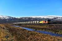 On a bright, early Spring, morning, Colas Class 60 No.60021 has just left the passing loop at Moy, heading for Inverness, with the Oxwellmains Lafarge - Inverness Lafarge cement tanks.<br><br>[John Gray 14/03/2016]