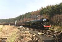 <h4><a href='/locations/L/Levisham'>Levisham</a></h4><p><small><a href='/companies/W/Whitby_and_Pickering_Railway'>Whitby and Pickering Railway</a></small></p><p>60103 'Flying Scotsman' approaching Levisham on the North Yorkshire Moors Railway on 12 March 2016. 84/132</p><p>12/03/2016<br><small><a href='/contributors/Peter_Todd'>Peter Todd</a></small></p>