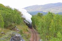 K1 No. 62005 is pictured climbing the gradient up to Glenfinnan Viaduct with <i>The Jacobite</i>.<br><br>[John Gray 15/05/2014]