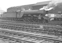 Scene in the shed yard at Gateshead in the early part of 1963 featuring A3 Pacific 60044 <I>Melton</I>. A pair of Deltics can just be made out in the left background.<br><br>[K A Gray //1963]