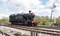 GWR 2-8-0T 4247 running around its train at Hayes Knoll.<br><br>[Peter Todd 23/04/2016]