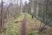 Embankment in the woods. Scene to the west of Gorebridge on 10 April 2016.  On the right is the walking route that now runs south from Engine Road, around a quarter of a mile to the north, with a cordoned off 'danger area' beyond occupied by a smouldering bing. Just off picture to the left is the A7. The embankment carried the mineral line linking the Arniston Engine and other pits in the area, with the exchange sidings alongside the Waverley route to the west of Gorebridge station on the north side of the Gore Glen.<br><br>[John Furnevel 10/04/2016]