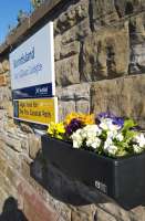 Flowers at Burntisland station, courtesy of Floral Action Burntisland.<br><br>[John Yellowlees 19/04/2016]
