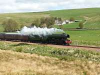 Flying Scotsman steaming sedately south between Heriot and Fountainhall on 15 May 2016.<br><br>[Mark Poustie 15/05/2016]