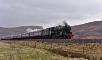 A heavy shower greets 44871 as it approaches Dalwhinnie from the north with The Great Britain IX , 47760 at rear.<br><br>[John Gray 03/05/2016]