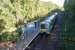 A Southern Class 171 DMU passes Doleham whilst working a service between Ashford and Hastings on 25 October 2010. A very rural woodland location with not so many commuters and not so many services that call.<br><br>[John McIntyre 25/10/2010]