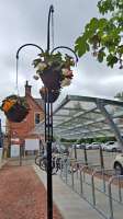 A basket tree and the new cycle shelter at Uddingston<br><br>[John Yellowlees 14/06/2016]