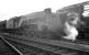 A murky Saturday morning on Gateshead shed in May 1963. ECML stalwart 60017 <I>Silver Fox</I> stands in the yard alongside a pair of 52A's by now considerable allocation of EE Type 4 diesel locomotives. <br><br>[K A Gray 25/05/1963]