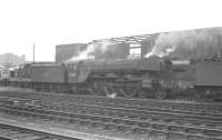 Gresley A3 Pacific 60084 <I>Trigo</I> appears to be surrounded by Deltics in the shed yard at Gateshead in early 1963.<br><br>[K A Gray //1963]