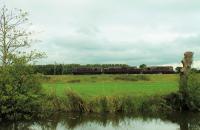 <I>Very unexpected</I>. West Coast Railway's BRCW Type 3 33207 <I>Jim Martin</I> takes 37685 <I>Loch Arkaig</I> and 33025 on a movement from Southall to Carnforth on 5th September 2016. This may be part of the clear out from Southall following Network Rail's termination of the lease on that depot. The convoy is seen running alongside the Lancaster Canal at Brock on the final leg of the journey.  <br><br>[Mark Bartlett 05/09/2016]