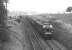 A 'Peak' type 4 brings train 1S64, the down <I>'Waverley'</I>, past a misty Kelso Junction in the 1960s.<br><br>[Dougie Squance (Courtesy Bruce McCartney) //]