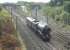 After a short visit to the East Lancashire Railway, 60103 <I>Flying Scotsman</I> worked back to the NRM via a circuitous route on 18th October 2016. Seen here passing Farington Curve Junction the A3 ran via Castleton, Manchester, Golborne, Preston, Carnforth, Skipton and Leeds.<br><br>[Mark Bartlett 18/10/2016]