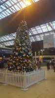 The Christmas Tree on the concourse at Queen Street partly lit by a bright shaft of light from above.<br><br>[John Yellowlees 01/12/2016]