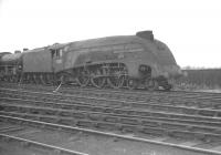 A4 Pacific 60012 <I>Commonwealth of Australia</I> in the shed yard at Carlisle Canal in the summer of 1961.<br><br>[K A Gray 01/07/1961]