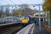 An Helensburgh to Edinburgh service draws to a stop at an autumnal Dalreoch.<br><br>[Ewan Crawford 21/11/2016]