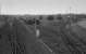 Looking north from Old Craighall Road in 1987 with the former Waverley Route running through Millerhill Marshalling Yard and the ECML chord and wagon repair shops to the right. The slow lines were being used for stabling.<br><br>[Bill Roberton //1987]