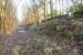 A gap in the stone wall is the only reminder today of the halt at Rosslynlee Hospital Halt. Nothing remains of the platform, but a short section of fencing and partial buffer stop are behind the wall. The view looks to Millerhill. [See image 45975].<br><br>[Ewan Crawford 26/12/2016]