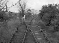 The Auchmuty branch in 1992 after the end of traffic.  The Balbirnie Mills siding diverges to the left with the line to Tullis Russell veering right. Access with permission.<br><br>[Bill Roberton //1992]