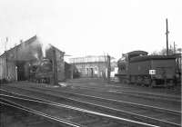 Shed scene at 65H Helensburgh in October 1957, with Parkhead V3 67613 and Eastfield J37 64610 amongst the locomotives in the yard.<br><br>[G H Robin collection by courtesy of the Mitchell Library, Glasgow 26/10/1957]