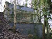 View of the remaining north west abutment, now concealed in the trees behind the new housing at the former Glasgow Zoo site.<br><br>[Colin McDonald 09/03/2017]