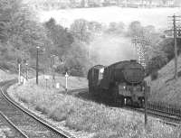 The northern approach to Galashiels in June 1963, with Kilnknowe Junction behind the camera.  St Margarets V2 2-6-2 60846 is rounding the curve from Torwoodlee with an up freight on the Waverley route. On the left is the gradually diverging single line of the Peebles branch, closed the previous year but with track still in place. The view in the opposite direction one month later [see image 54691] shows tracklifting underway on the branch.<br><br>[Dougie Squance (Courtesy Bruce McCartney) /06/1963]