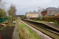 The view north at Croston on 19 March 2017 shortly after the trees at the back of the platform on the right had been felled. On this side of the track work continues clearing the disused platform and nearest the camera the start of a vegetable patch.<br><br>[John McIntyre 19/03/2017]