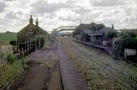The view south at the former Hassendean station in 1974. [See image 57077] for a comparable view while track was still intact.<br><br>[Jim Scott //1974]