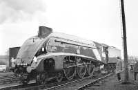 4498 <I>Sir Nigel Gresley</I> at Kingmoor on 1 April 1967, on the occasion of its first outing in preservation. The A4 had arrived with a 12 coach special off the WCML from Crewe, returning via the S&C and Blackburn. [See image 4583] <br><br>[Bruce McCartney 01/04/1967]