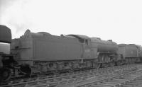 Gresley V2 2-6-2 60891 stabled in the Chaytor's Bank sidings alongside Gateshead shed on 24 October 1964, just over a week after its official withdrawal by BR. The locomotive was cut up at Darlington Works by the end of the year.<br><br>[K A Gray 24/10/1964]