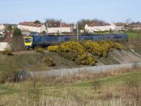 A Manchester Airport - Glasgow Central Transpennine Express class 185 DMU, diverted on to the R&C due to Sunday engineering works, runs smartly down the 1 in 110 gradient at Baillieston.<br><br>[Colin McDonald 02/04/2017]