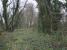 View south east along the solum towards Uddingston West station. The much overgrown trackbed can be accessed at Lucy Brae path where a bridge has long ago been removed. <br><br>[Colin McDonald 15/02/2017]