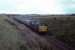 Shortly after passing the former Kirriemuir Junction, 37026 heads towards Forfar with the 'Ayr - Aberdonian' tour on 19th September 1981.<br><br>[Graeme Blair 19/09/1981]