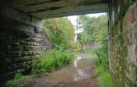 Hamilton Palace Colliery (Douglas Park) was served by both the Caledonian and the North British via a joint line. This photograph looks south under the former  Clydesdale Junction Railway of the Caledonian close to the point where the North British's Glasgow, Bothwell, Hamilton and Coatbridge Railway line from Bothwell to Coatbridge passed overhead. The distant disused bridge took a spur from the GBH&C line to the joint line. Today only the Caledonian's Uddingston to Motherwell line remains open.<br><br>[Ewan Crawford //2000]