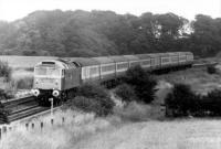A sparkling 47429 seen nearing Kirkham with a train from Euston on 24th July 1982. Despite appearances the former D1541 was withdrawn less than five years later and cut up by a contractor at Crewe in 1989. <br><br>[Mark Bartlett 24/07/1982]