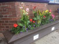 Another one of the planters at Whitecraigs station in June 2017.<br><br>[Peter Mckinlay 08/06/2017]