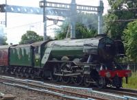 Flying Scotsman whizzes through Tilehurst with the Cathedrals Express on 13th June 2017. (Photo courtesy of Peter Caton}<br><br>[Ken Strachan 13/06/2017]