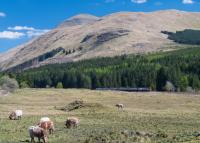 Southbound Sprinter passing the 'distant' south of Crianlarich, with Ben More dominating.<br><br>[Ewan Crawford 05/05/2017]