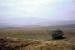 Ribblehead Viaduct just visible from the <a href=http://www.nationaltrail.co.uk/pennine-way target=external>Pennine Way</a> in September 1968.<br><br>[John Thorn //1968]