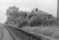 Campsie Glen Station on the Kirkintilloch to Aberfoyle Line.<br><br>[John Robin 08/07/1963]