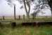 The westbound platform at Loch Skerrow. Behind it the remote moorland can be seen.<br><br>[Ewan Crawford //]