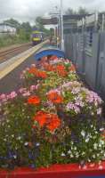 Alloa with the planters looking fine.<br><br>[John Yellowlees 04/07/2017]