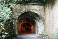 The Edinburgh end of Colinton Tunnel on the Balerno branch in July 2017. Colinton station lay just beyond the other end of the tunnel [see image 20499]. The line finally closed in 1967 and is now  part of the Water of Leith Walkway. [Ref query 1659]<br><br>[John Furnevel 27/07/2017]
