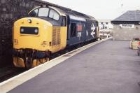 37191, newly named <b>International Youth Year 1985</b>, waits at Mallaig after arrival from Glasgow Queen Street/Fort William. Complete with Eastfield Scottie. 18.55 hrs., 26.05.85.<br><br>[Michael Green 26/05/1985]
