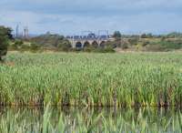 A southbound 380 crosses the River Garnock with Kilwinning in the background and the Bartonholm marsh in the foreground. The distant tower belongs to Kilwinning Abbey.<br><br>[Ewan Crawford 17/08/2017]